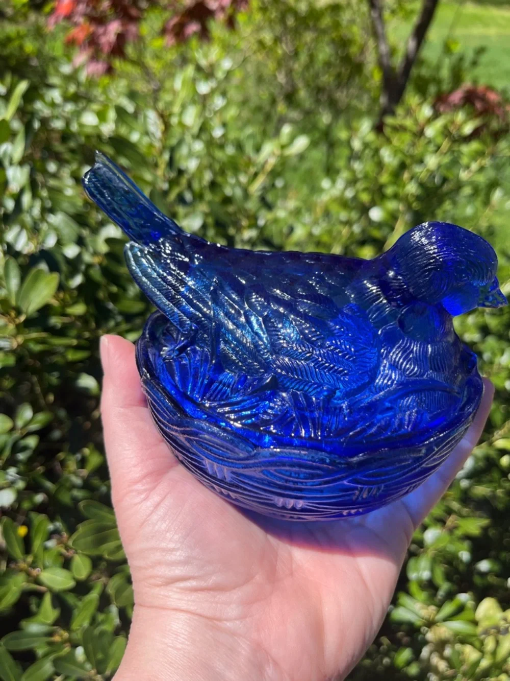 Cobalt Blue Bird On Nest 2 Piece Lidded Candy Dish Dove Robin